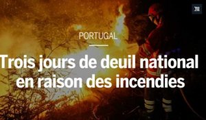 Plusieurs centaines d’incendies balaient le Portugal depuis dimanche