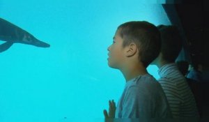 Un aquarium géant ouvre à Lausanne