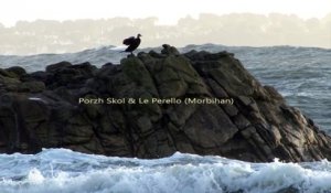 Porzh Skol & Le Perello * Trigone Production 2017