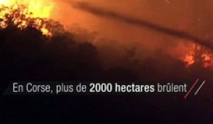 Plus de 2000 hectares brûlent en Corse