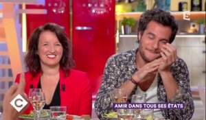 Anne Roumanoff et Amir au dîner - C à Vous - 24/10/2017