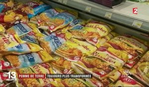 Consommation : les pommes de terre transformées séduisent les Français