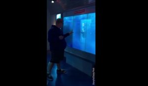 On t'avait dit de ne pas toucher la vitre de l'aquarium... Et voilà!