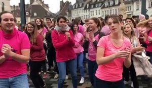 Besançon : Pour octobre rose, les étudiants en médecine et pharmacie se mobilisent contre le cancer du sein