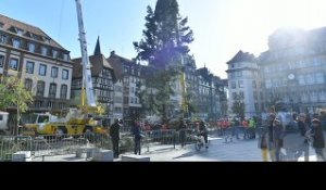Time lapse : installation du grand sapin à Strasbourg