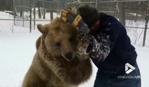 Jouer dans la neige.. avec 2 gros OURS bruns !!