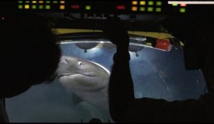 Requins vs Submersible Lula 1000 (Blue Planet II)