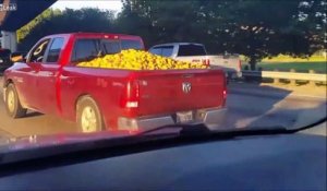 Ce pick-up roule... avec des milliers de pommes de terre dans le coffre !