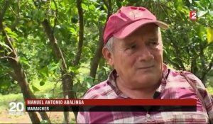 Salvador : les pesticides hors la loi