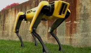 SpotMini, le nouveau chien-robot de Boston Dynamics