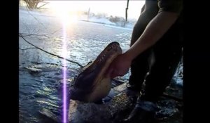 Il sort à la main un crocodile piégé dans la glace