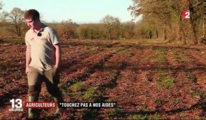 Sud-ouest : les agriculteurs en colère après la suppression de leurs subventions