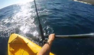 Ce kayakiste lutte contre un requin très agressif qui ne le lache pas