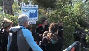 William Tillet à propos du parc marin de la Côte Bleue