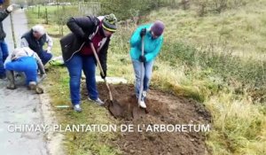 Chimay: l'arboretum est planté le long du RAVeL