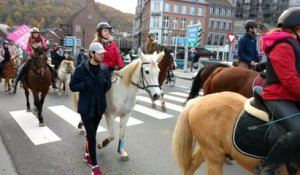 Huy: la traditionnelle bénédiction des animaux