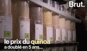 Comment le quinoa dans notre assiette fait le malheur des producteurs boliviens