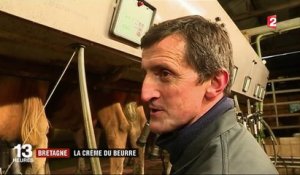 Agriculture : le beurre exceptionnel de la Froment du Léon