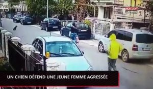 Un chien défend une jeune femme et poursuit son agresseur ! (vidéo)
