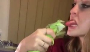 Une fille tire la langue à un iguane