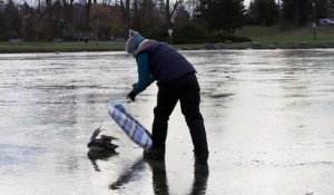 Sauvetage d'un canard épuisé coincé sur la glace d'un lac gelé !