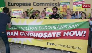 Glyphosate : vers une interdiction dans 3 ans ?