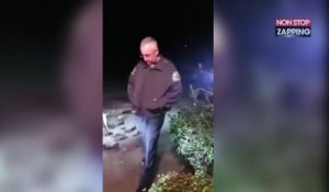 Un pitbull enragé s'attaque à une voiture (vidéo)