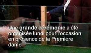 Brigitte Macron a baptisé le bébé panda du zoo de Beauval "Yuan Meng"