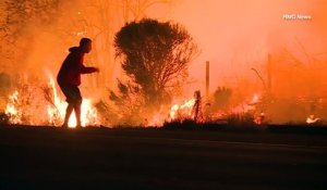 Cet homme sauve un lapin des flammes en Californie au péril de sa vie dans les Incendies !