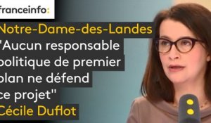 #NDDL "Aucun responsable politique de premier plan ne défend ce projet" explique Cécile Duflot, qui affirme que François Hollande pensait que ce projet d'aéroport n'était "pas une bonne idée"