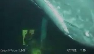 Apparition surprise d'une baleine pendant l'inspection d'une plateforme pétrolière !