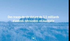 Des traces de vie datant de 3,5 milliards d'années retrouvées en Australie