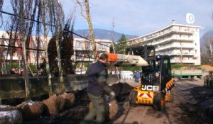 Reportage - La ville de Grenoble plante des arbres