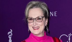 Meryl Streep Hurt by Rose McGowan's Criticism