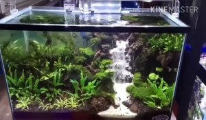 Il crée une chute d'eau à l'interieur de son aquarium... Magnifique