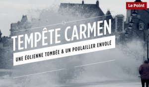 Tempête Carmen : une éolienne tombée et un poulailler renversé