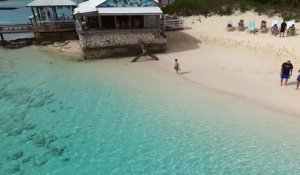 Un enfant dans l'eau attire quelques requins curieux au Bahamas
