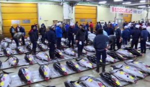 Japon: premières enchères de l’année au marché de Tsukiji