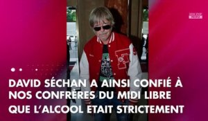 Renaud toujours alcoolique ? Son frère David Séchan répond