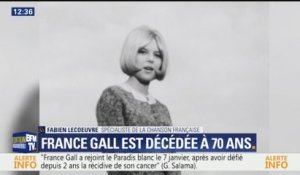 "Elle n'a pas pu s'appeler Isabelle Gall." Fabien Lecœuvre revient sur le nom de scène de France Gall