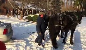 Remorquage d'une voiture par des chevaux pour la sortir de la neige !