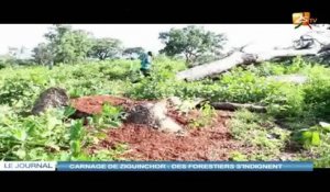 CARCANGE DE ZIGUINCHOR : DES FORESTIERS S'INDIGNENT