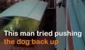 Il risque sa vie pour sauver un chien qui va tomber d'un balcon