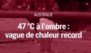 47 °C à l’ombre : vague de chaleur record en Australie