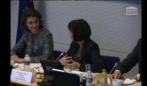 Commission des affaires européennes : Mme Daniela Schwarzer - Mercredi 18 janvier 2017