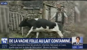 De la vache folle à Lactalis, retour sur les principaux scandales sanitaires
