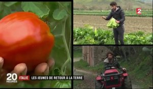 Italie : les jeunes se tournent vers l'agriculture