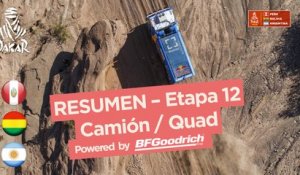 Resumen - Camiones - Etapa 12 (Fiambalá / Chilecito / San Juan) - Dakar 2018