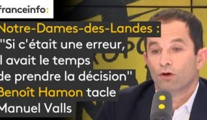 #NDDL Benoît Hamon tacle Manuel Valls : "Si c'était une erreur, il avait le temps de prendre la décision"