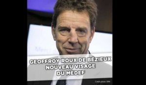 Medef: Geoffroy Roux de Bézieux élu président
